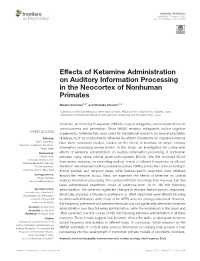 Effects of Ketamine Administration on Auditory Information Processing in the Neocortex of Nonhuman Primates