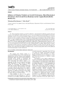 Influence of Primalac Probiotic on Growth Performance, Blood Biochemical Parameters, Survival and Stress Resistance in the Caspian Roach (Rutilus