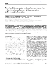 Mitochondrial Misreading in Skeletal Muscle Accelerates Metabolic Aging and Confers Lipid Accumulation and Increased Inflammation