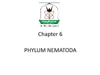 PHYLUM NEMATODA Chapter 6