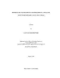 Sedimentary Environments and Processes in a Shallow