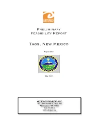 Artspace Preliminary Feasibility Report