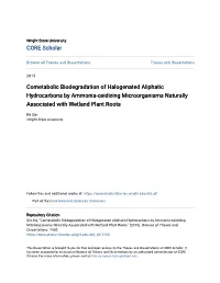Cometabolic Biodegradation of Halogenated Aliphatic Hydrocarbons by Ammonia-Oxidizing Microorganisms Naturally Associated with Wetland Plant Roots
