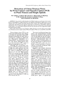 Detection of Citrus Tristeza Virus by Print Capture and Squash Capture-PCR in Plant Tissues and Single Aphids