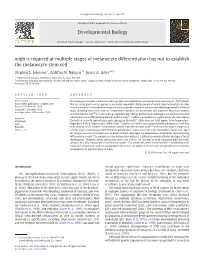 Johnson, SL, Nguyen, AN, and Lister (2011) JA Mitfa Is Required At