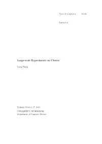 Large-Scale Experiments on Cluster