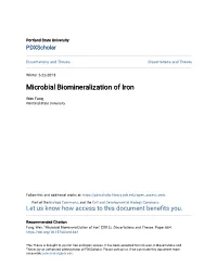 Microbial Biomineralization of Iron