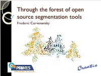 Segmentation Tools Frederic Cervenansky What Is Open-Source