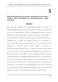 Phytoremediation of an Arsenic Contaminated Site Using P. Vittata L