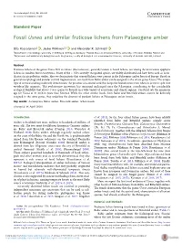 Fossil Usnea and Similar Fruticose Lichens from Palaeogene Amber