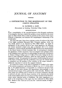 Journal of Anatomy