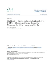 The Effects of Oxygen on the Electrophysiology of CO2/H+-Chemosensitive and -Insensitive Neurons of the Solitary Complex of the Rat" (2012)