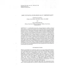 Are Cetacea Ecologically Important?