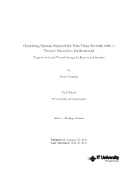 Operating System Support for Run-Time Security with a Trusted Execution Environment