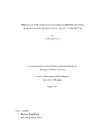 Assessment and Modeling of Whiteleg Shrimp Production in a Low-Salinity Recirculating Aquaculture System