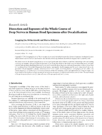 Dissection and Exposure of the Whole Course of Deep Nerves in Human Head Specimens After Decalciﬁcation
