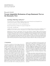 Terrain Adaptability Mechanism of Large Ruminants' Feet on The