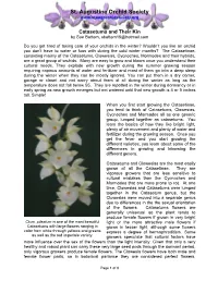 Catasetums and Their Kin by Sue Bottom, Sbottom15@Hotmail.Com