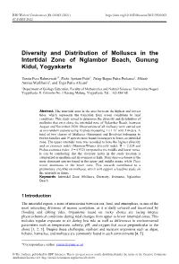 Diversity and Distribution of Molluscs in the Intertidal Zone of Nglambor Beach, Gunung Kidul, Yogyakarta