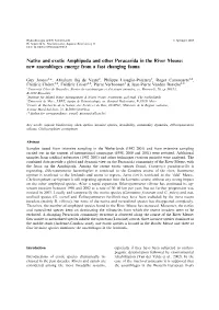 Native and Exotic Amphipoda and Other Peracarida in the River Meuse: New Assemblages Emerge from a Fast Changing Fauna