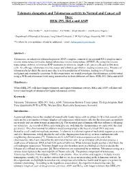 Telomere Elongation and Telomerase Activity in Normal and Cancer Cell Lines: HEK-293, Hela and A549