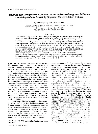 Behavior and Cytogenetics of Fruitless in Drosophila Melanogaster