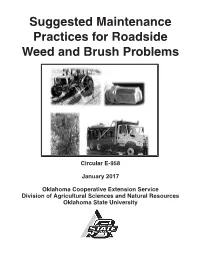 Suggested Maintenance Practices for Roadside Weed and Brush Problems