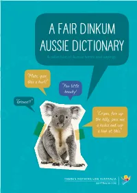 A Fair Dinkum Aussie Dictionary a Collection of Aussie Terms and Sayings