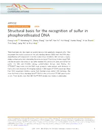 Structural Basis for the Recognition of Sulfur in Phosphorothioated DNA