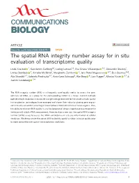 The Spatial RNA Integrity Number Assay for in Situ Evaluation of Transcriptome Quality