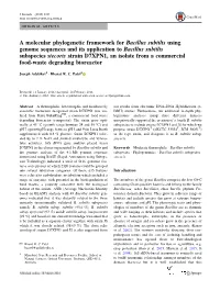 A Molecular Phylogenetic Framework for Bacillus Subtilis Using Genome