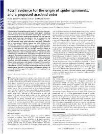 Fossil Evidence for the Origin of Spider Spinnerets, and a Proposed Arachnid Order