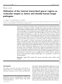Utilization of the Internal Transcribed Spacer Regions As Molecular Targets