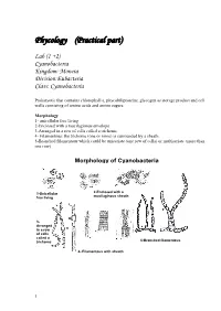 Phycology (Practical Part)