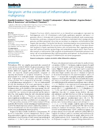 Serglycin: at the Crossroad of Inflammation and Malignancy