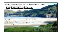 Benthic Marine Algae on Japanese Tsunami Marine Debris – a Morphological Documentation of the Species