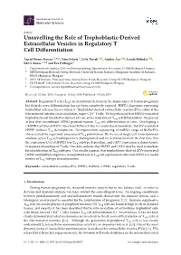 Downloaded from 10X Genomics Datasets Available on Link
