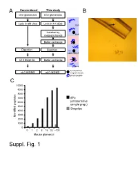 Suppl. Fig. 1 A