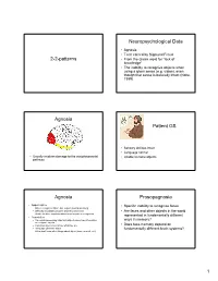 2-2-Patterns Neuropsychological Data Agnosia Patient GS