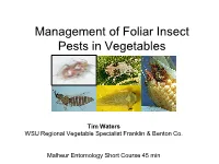 Key Pests in the Basin