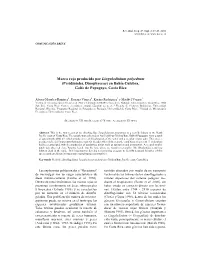 Marea Roja Producida Por Lingulodinium Polyedrum (Peridiniales, Dinophyceae) En Bahía Culebra, Golfo De Papagayo, Costa Rica