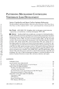 Patterning Mechanisms Controlling Vertebrate Limb Development