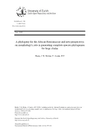 'A Phylogeny for the African Restionaceae and New Perspectives on Morphology's Role in Generating