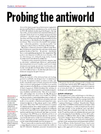 Antihydrogen Physicsweb.Org Probing the Antiworld