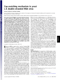 Cap-Snatching Mechanism in Yeast L-A Double-Stranded RNA Virus