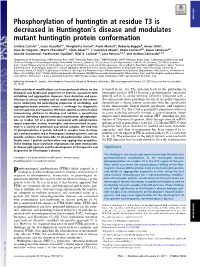 Phosphorylation of Huntingtin at Residue T3 Is Decreased In