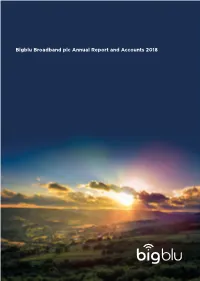 Bigblu Broadband Plc Annual Report and Accounts 2018 Company Information