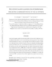 Decontextualized Learning for Interpretable Hierarchical Representations of Visual Patterns