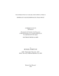 Dissertation Final