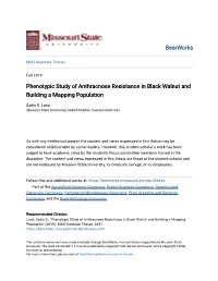 Phenotypic Study of Anthracnose Resistance in Black Walnut and Building a Mapping Population